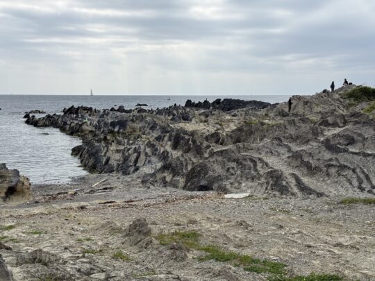 荒崎ロック（荒崎公園）